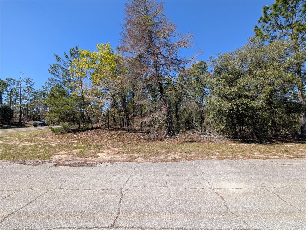 Photo of 3099 W Wilhelm Street, Citrus Springs, FL 34433 (MLS # W7884231)