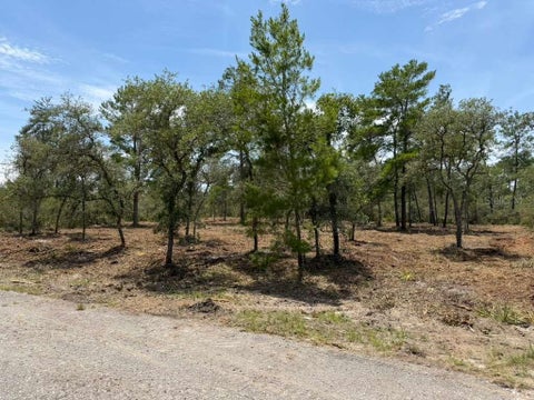 Tiny photo for Fisher Way Track, Ocklawaha, FL 32179 (MLS # O6419045)
