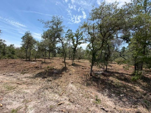 Photo of Fisher Way Track, Ocklawaha, FL 32179 (MLS # O6419045)