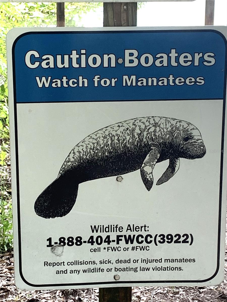 OCKLAWAHA RIVER ESTATE - Land