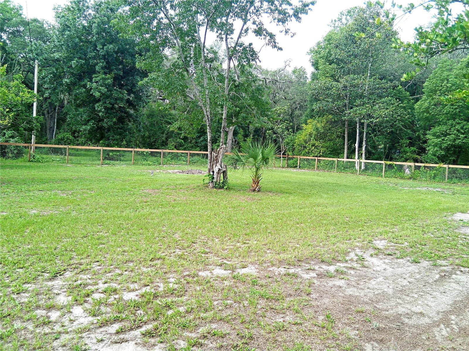 OCKLAWAHA RIVER ESTATE - Land