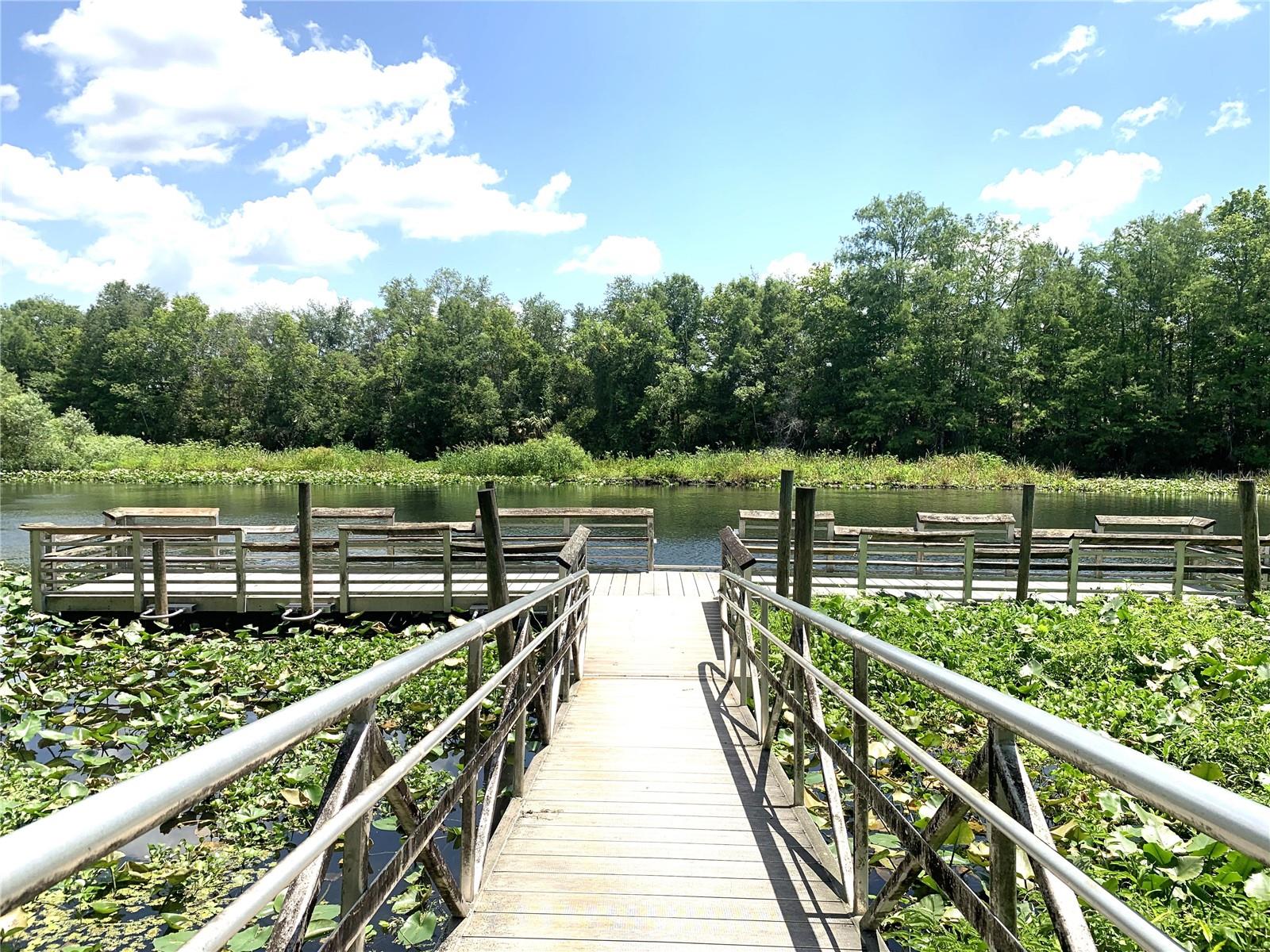 OCKLAWAHA RIVER ESTATE - Land