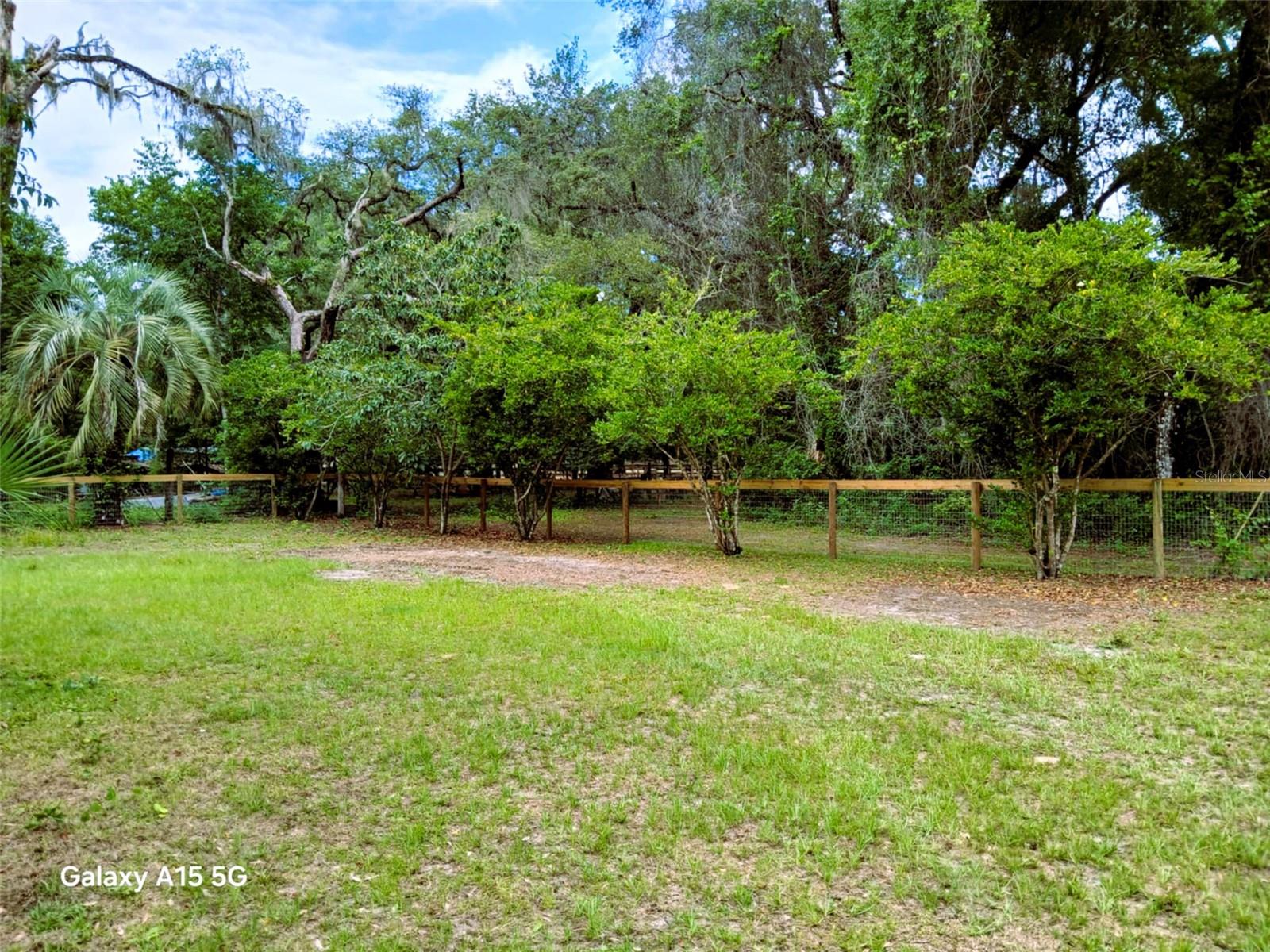 OCKLAWAHA RIVER ESTATE - Land