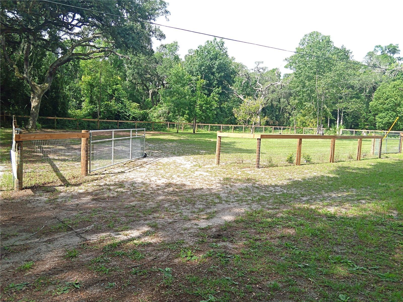 OCKLAWAHA RIVER ESTATE - Land