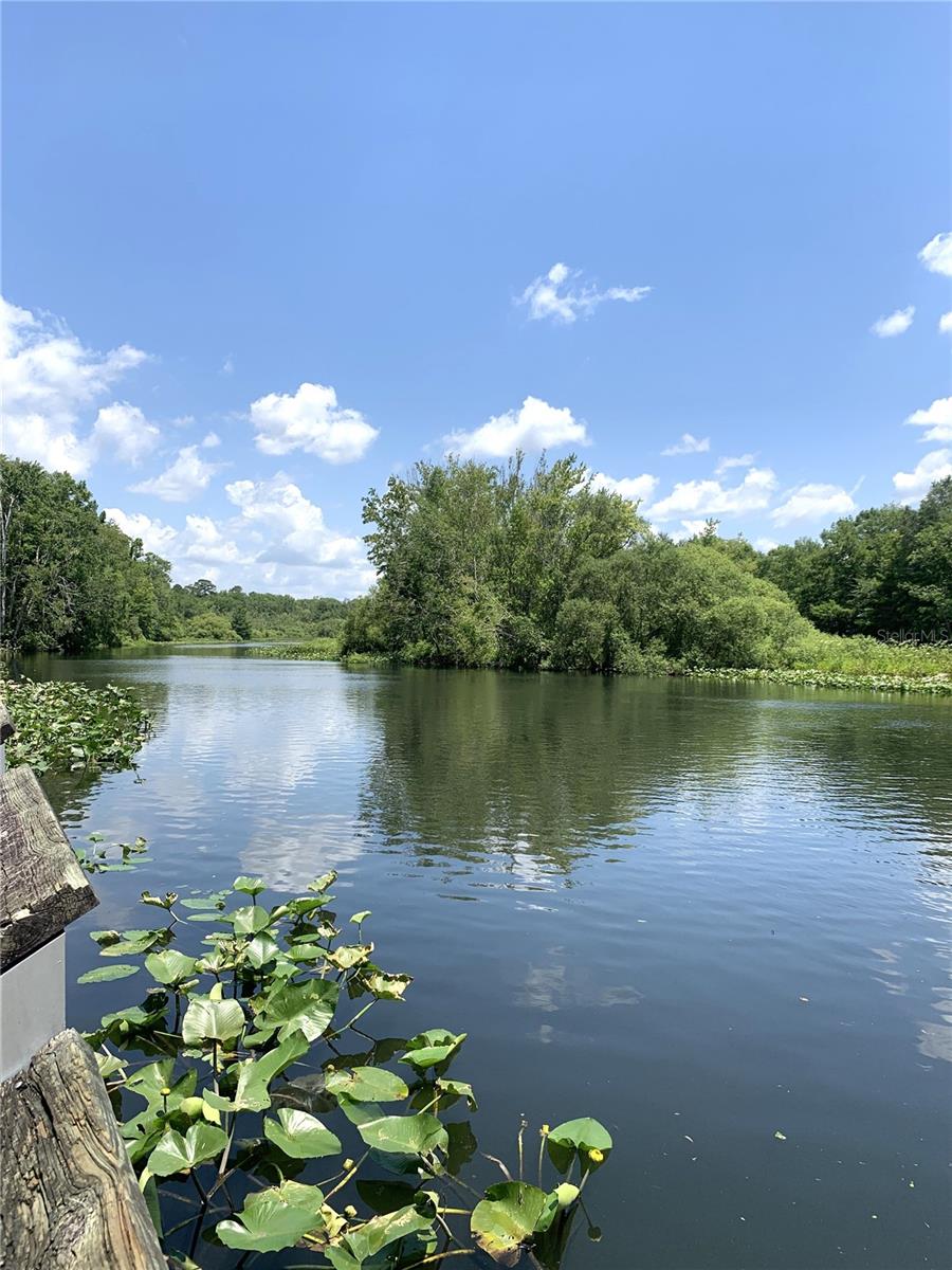 OCKLAWAHA RIVER ESTATE - Land