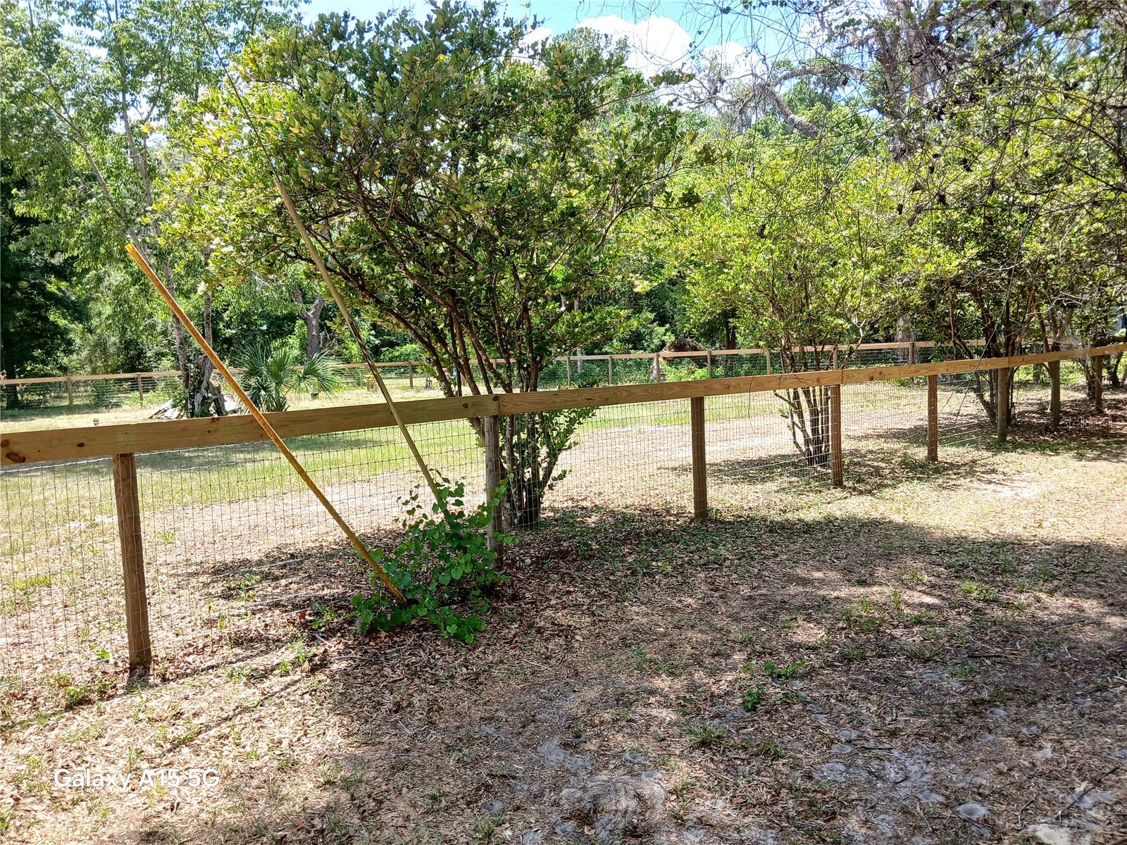 OCKLAWAHA RIVER ESTATE - Land