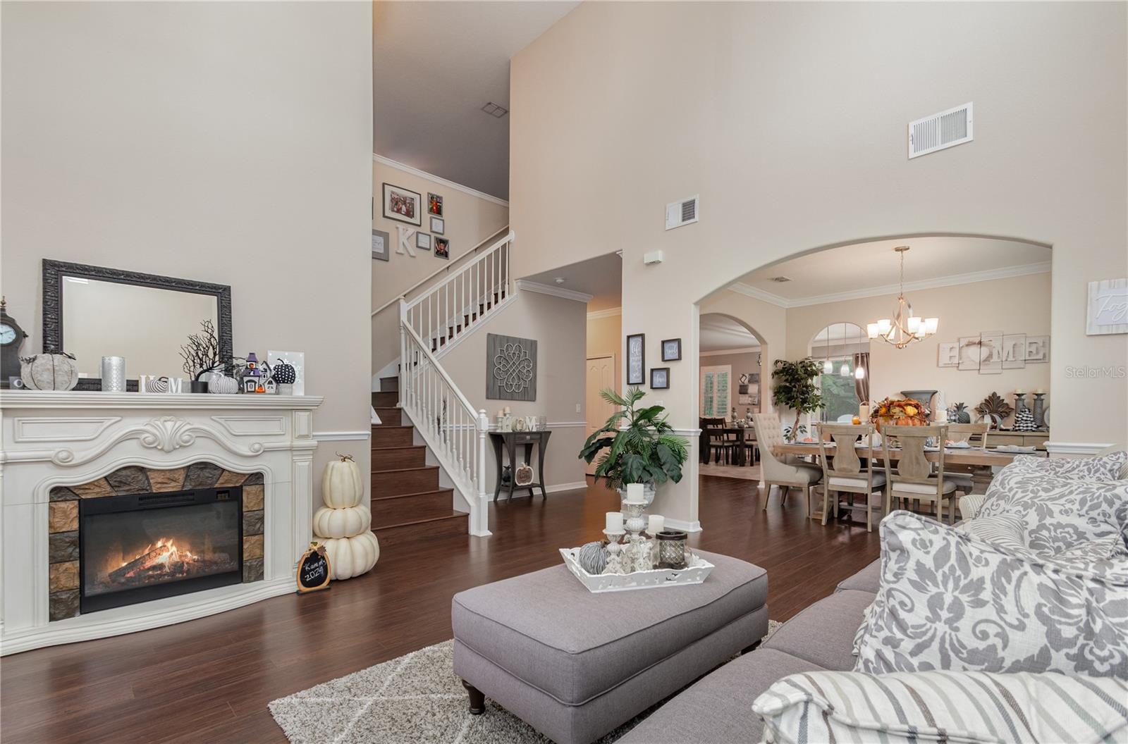 706 FRINGE TREE COURT