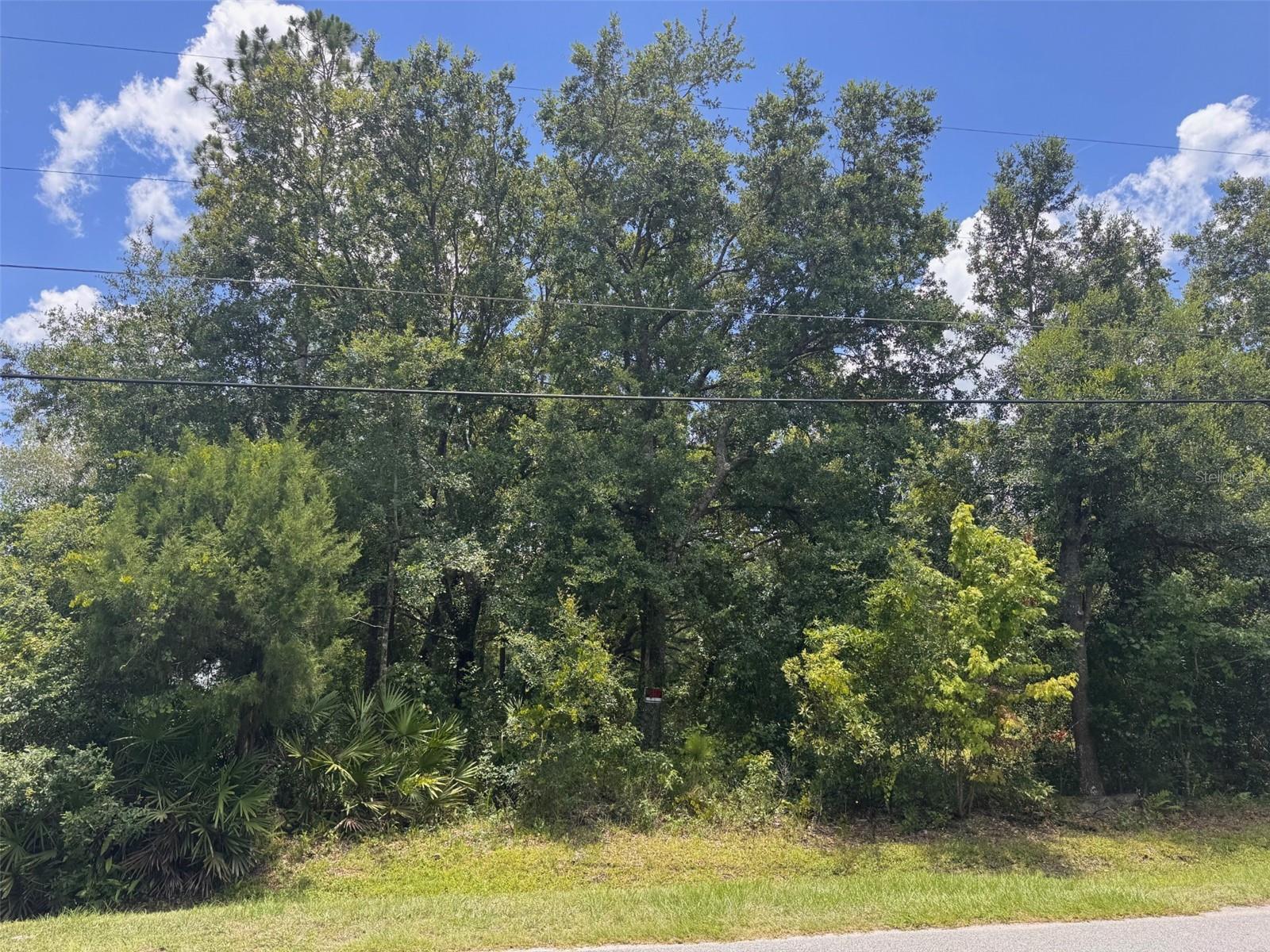 Prime Residential Opportunity in East Orlando! This 1.19 Acres of Land is 100 Ft Wide and 520 Feet Deep. Zoned R-T-2 which Allows for Mobile Homes, Modular Homes or Single-Family Home to be Developed in Privacy and Tranquility! Desirable Location~ 1 mile to Bithlo Park, Just 15 minutes from Waterford Lakes Town Center, 30 Minutes to Downtown Orlando and 40 Minutes to Cape Canaveral and Stunning Cocoa Beach. This will Provide Endless Options for Dining, Shopping and Florida FUN!! Seamless Commute via Colonial, 520, 528, I-95 and 417 within miles. Priced to Sell! Lot next Door Also Sale!