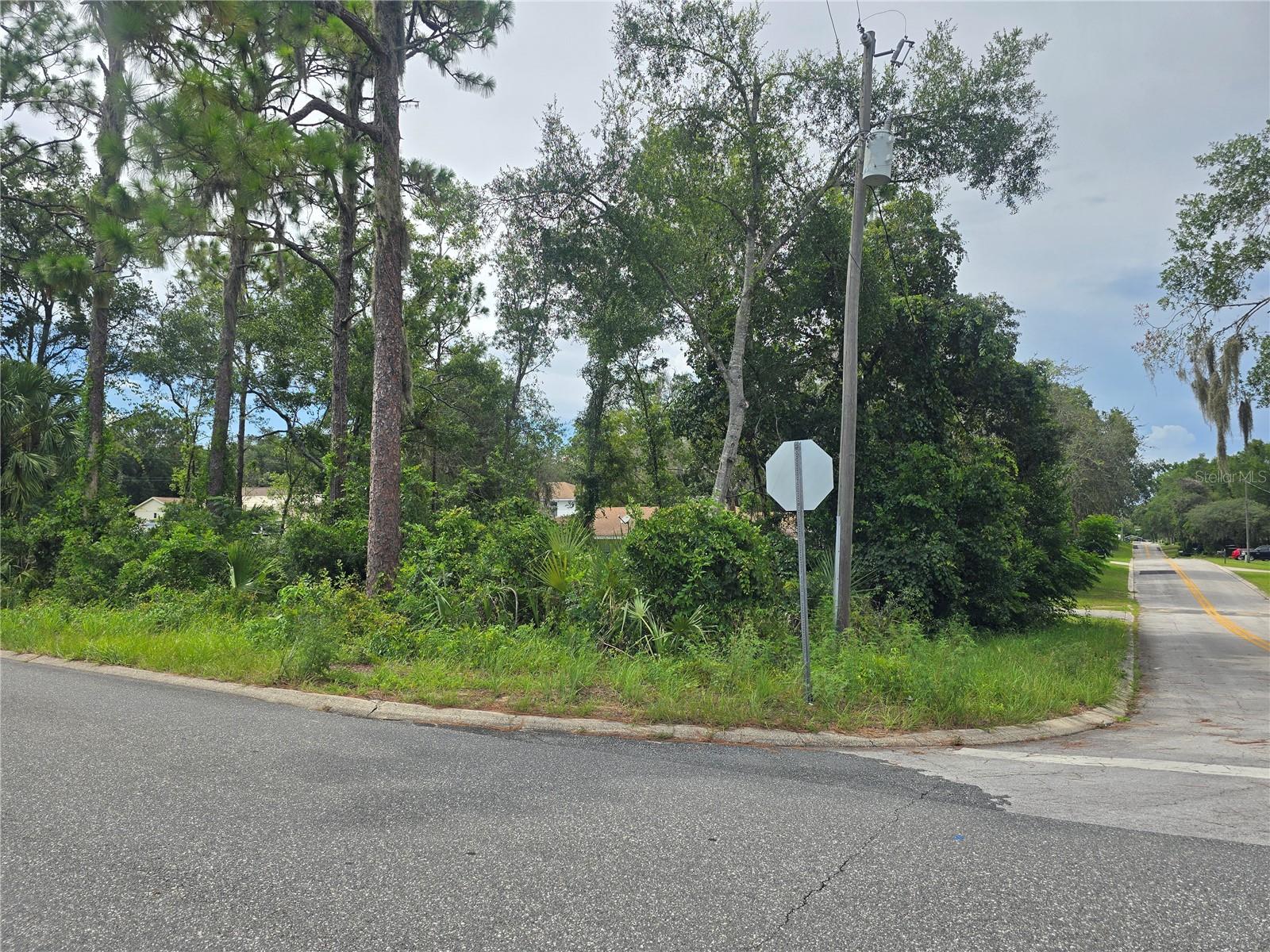 Located just outside the city limits of Inverness, FL, this .22-acre corner lot offers the perfect balance of quiet living and close-to-town convenience. Situated on paved roads and outside of flood zones, it's primed for your site-built dream home. Enjoy quick access to downtown Inverness for local markets, concerts, festivals, and more. Explore nearby parks, lakes, fishing spots, and one of Florida’s longest paved bike trails. Don’t miss your chance to own in this growing area!