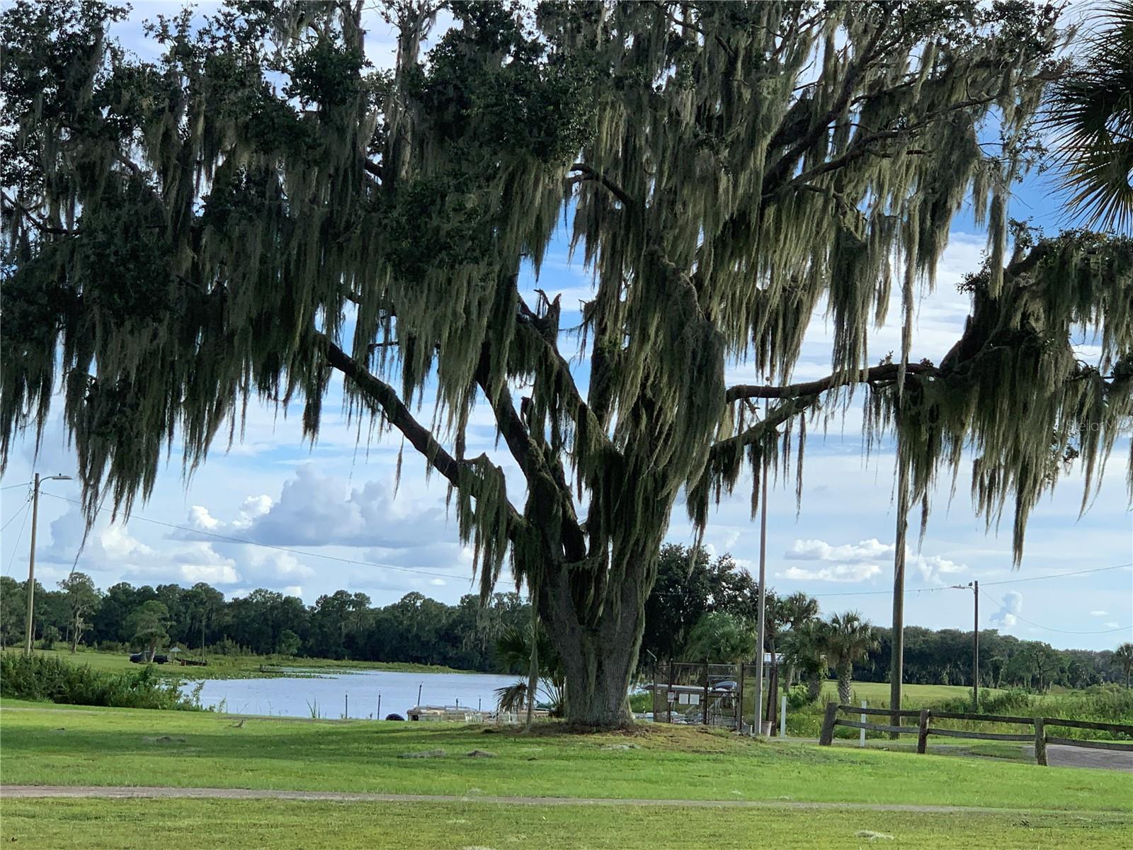 INDIAN LAKE ESTATES - Land