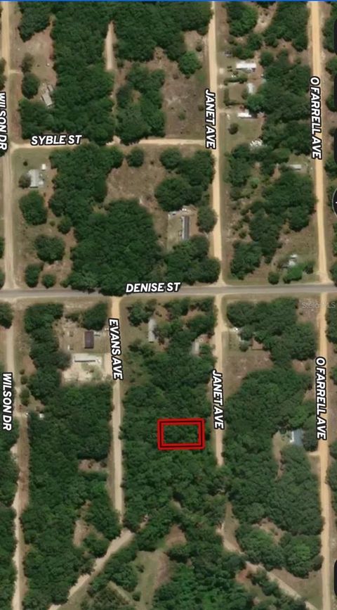 LOT 3 JANET AVENUE INTERLACHEN FL 32148