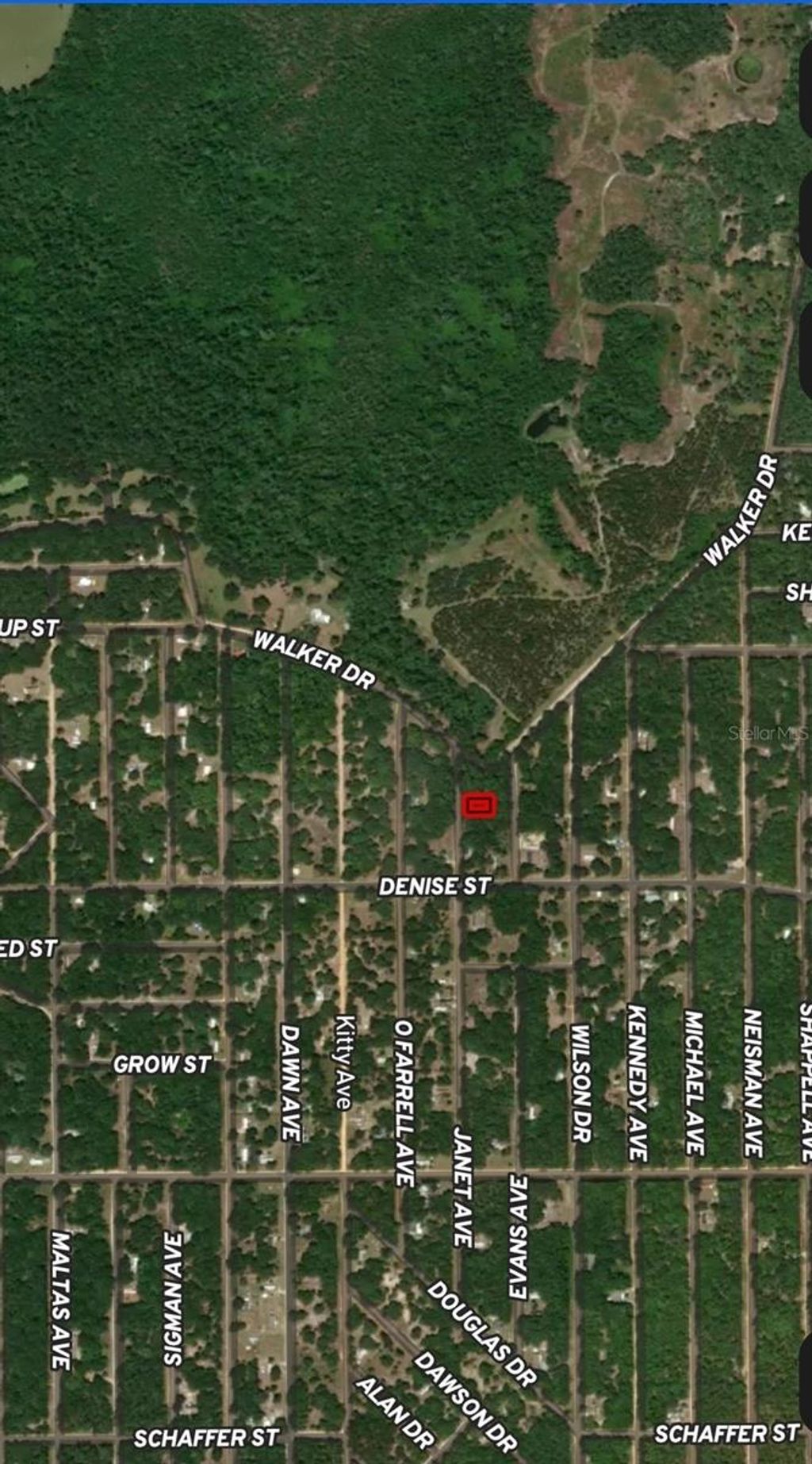 Photo of 3 Janet Avenue, Interlachen, FL 32148 (MLS # OM710331)