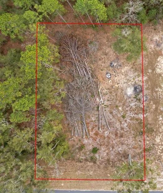 Prime 0.23-Acre Vacant Lot in Williston, FL – Just Off State Road 121!
Don't miss this exceptional opportunity to own an 80x125 ft vacant lot in the heart of Williston, Florida! Located just off State Road 121, this level and buildable parcel offers the perfect canvas for your dream home, mobile home, or investment property. Enjoy the best of both worlds with peaceful, rural surroundings and quick access to Gainesville, Ocala, and local springs and nature preserves.
No HOA. This property provides flexibility for future development. Power is nearby, and the lot is easily accessible via a well-maintained road. Whether you're looking to build now or hold for future growth, this property is priced to sell and packed with potential.