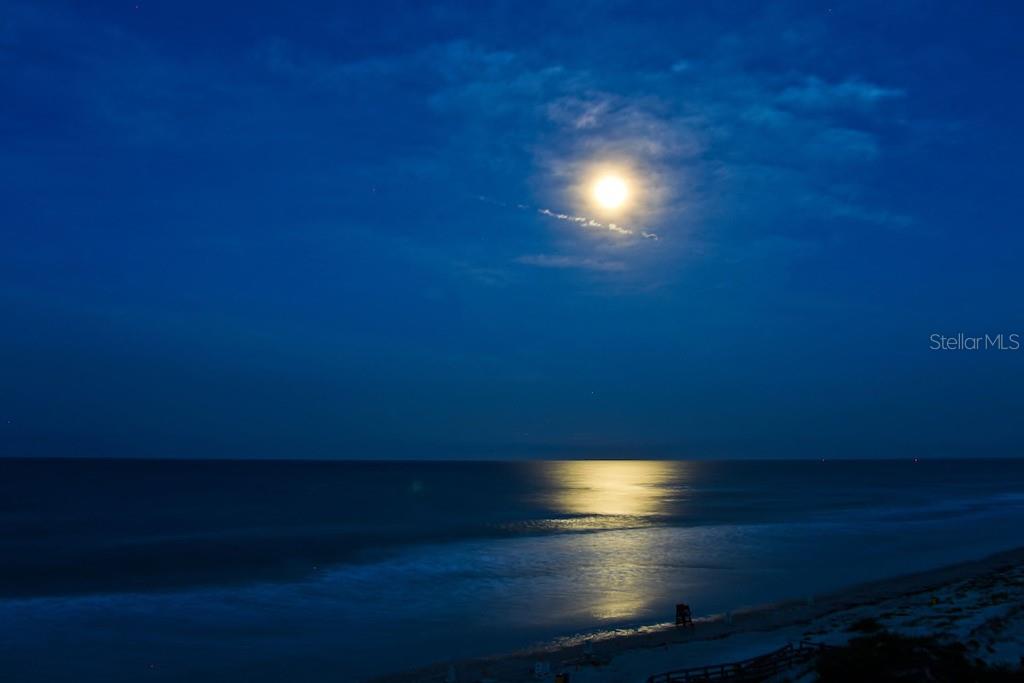 Towers At Ponce Inlet Tower 01 Condo - Residential