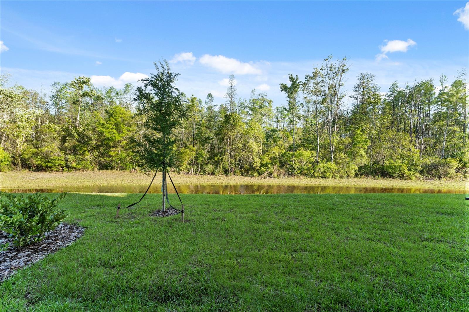 ANGELINE PH 3A - Residential Lease