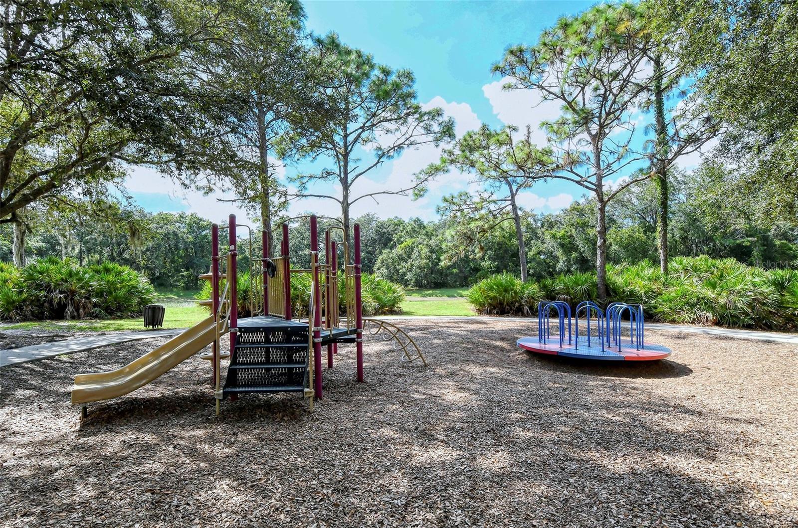 SUMMERFIELD VILLAGE SUBPHASE C - Residential