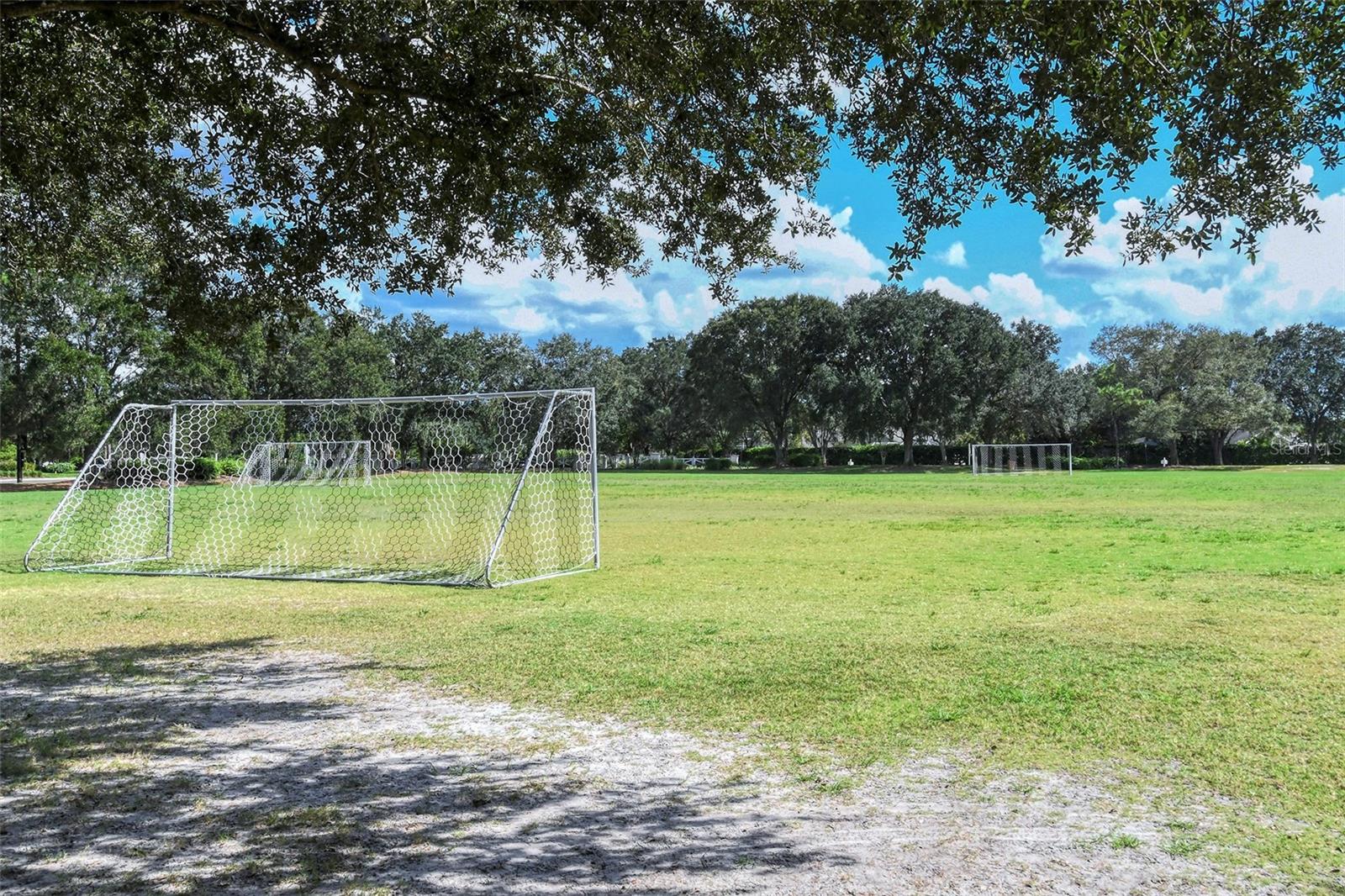 SUMMERFIELD VILLAGE SUBPHASE C - Residential