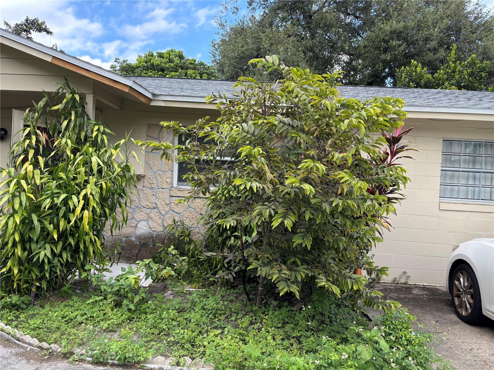 2721 WAKULLA WAY