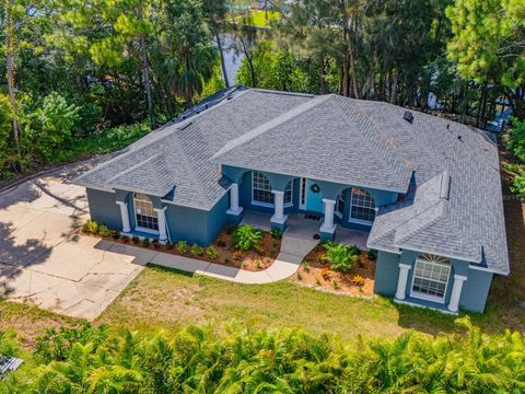 A home in APOLLO BEACH