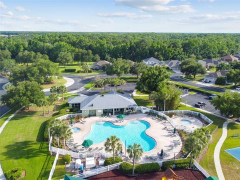 A home in LAND O LAKES