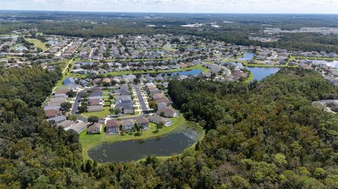 A home in LAND O LAKES