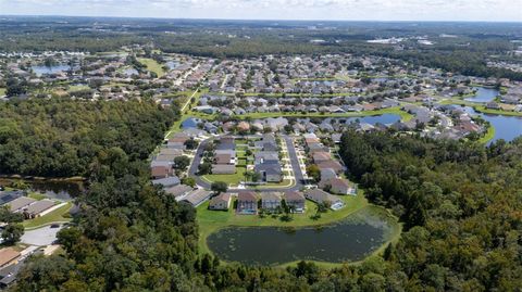 A home in LAND O LAKES