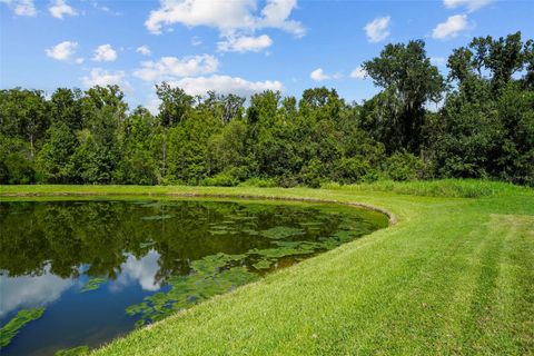 A home in LAND O LAKES