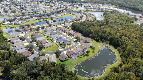 A home in LAND O LAKES