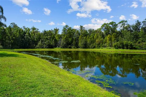 A home in LAND O LAKES