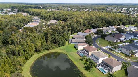 A home in LAND O LAKES