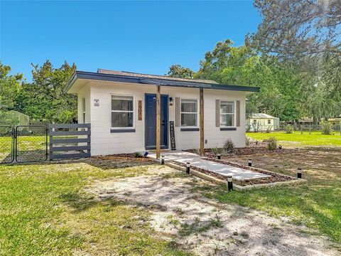 Photo of 16116 Wallace Street, Umatilla, FL 32784 (MLS # O6411779)