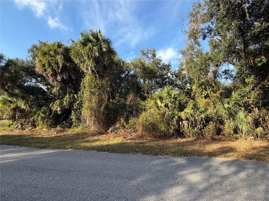Photo of 16272 Chicopee Avenue, Port Charlotte, FL 33954 (MLS # N6141801)