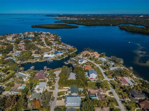 A home in PALM HARBOR