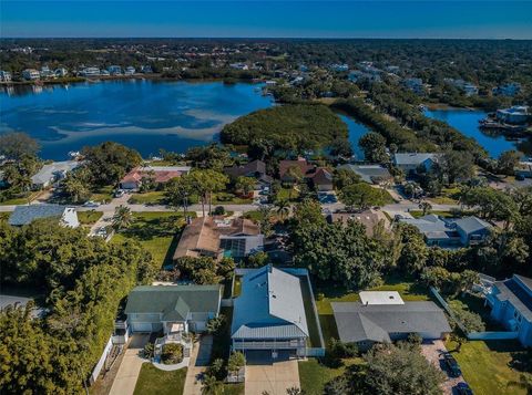 A home in PALM HARBOR