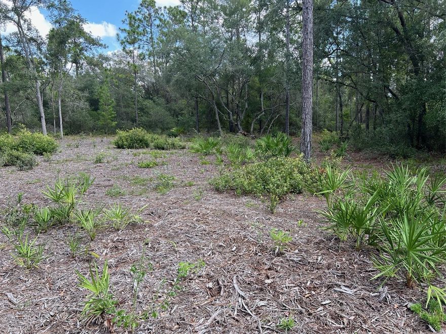 Located in North Central Florida, only minutes from downtown Keystone Heights, this private 1.254 acres is ready for you to build your new home or new mobile home. Short distance off the paved road. Property has been recently cleared and mixture of live trees throughout. So leave the hustle and bustle behind in the city! Keystone Heights is an upcoming small town with shopping, restaurants and in the Clay County School District with an easy commute to Jacksonville, Orange Park, Gainesville, Palatka, and Starke. Property is being sold ''as-is,'' survey on hand, any inspections will be the responsibility of the Buyer.