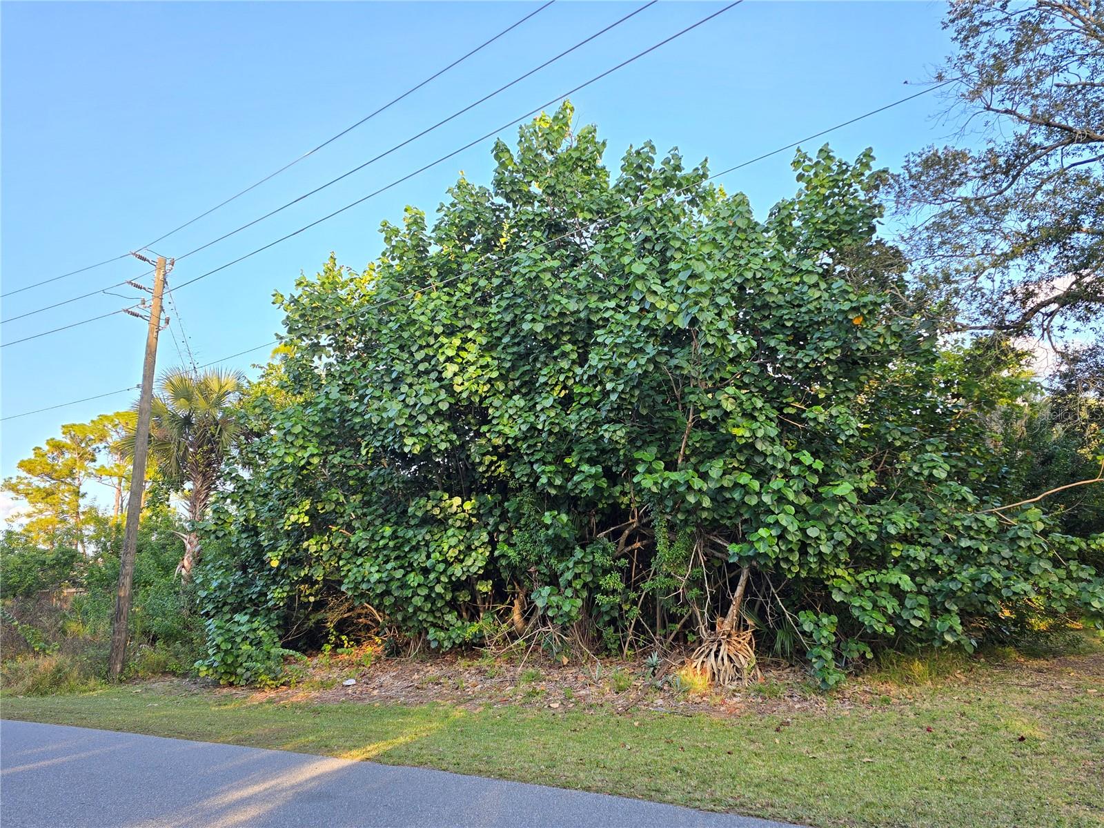 PORT MALABAR UNIT 41 - Land