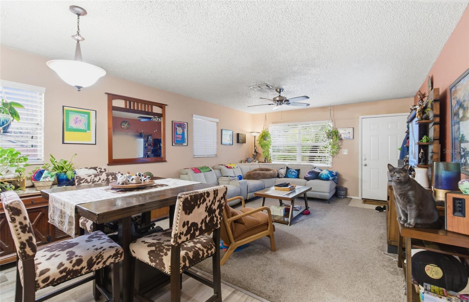 PINELLAS FARMS - Residential Income