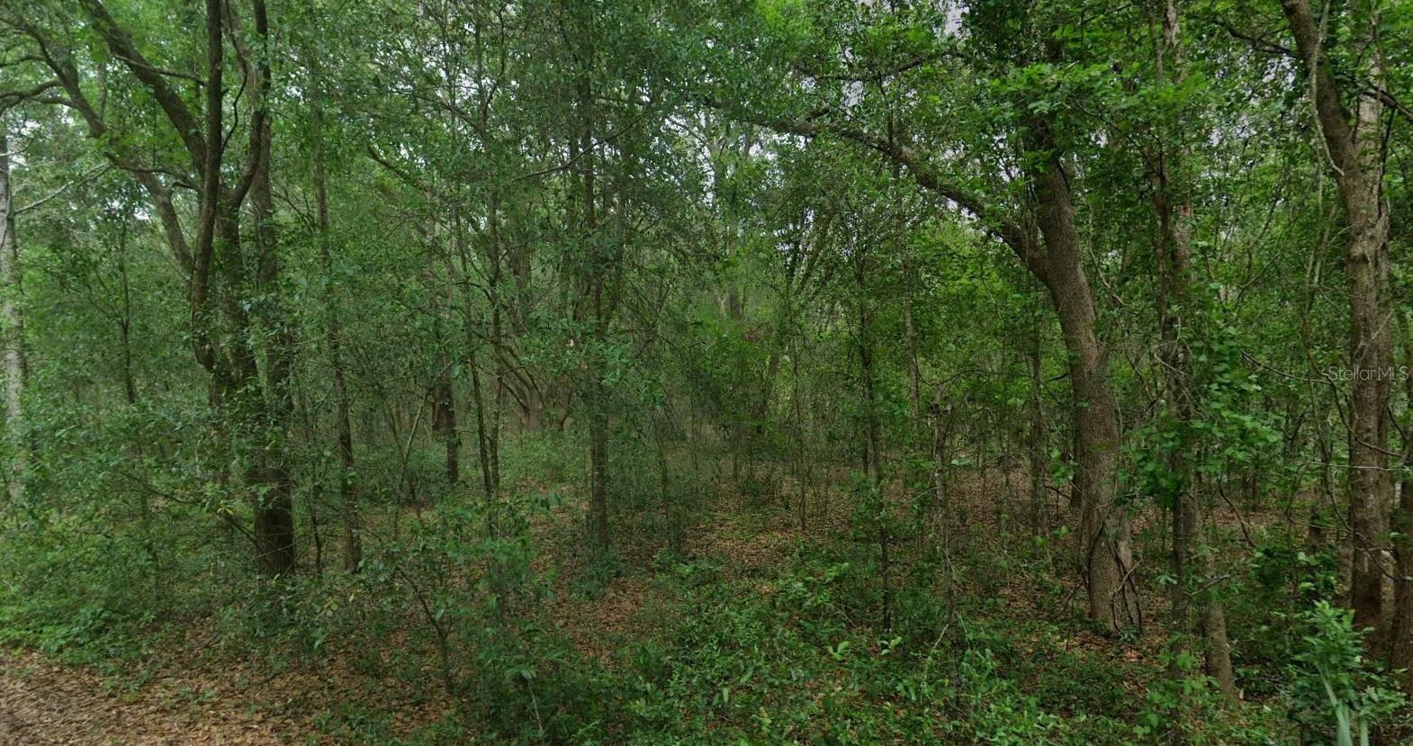 8856 N HIMALAYAS POINT