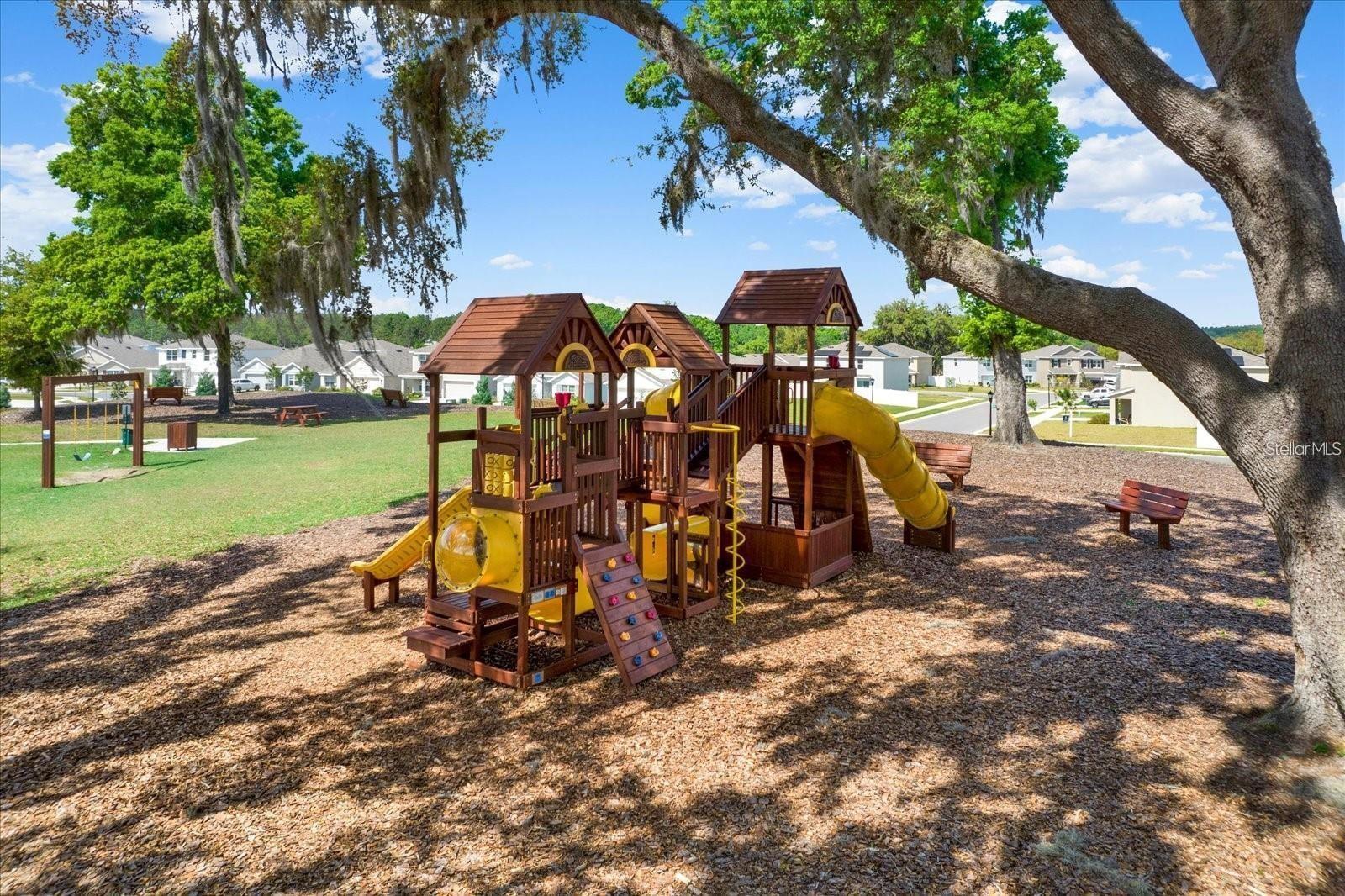 13688 WINEBERRY DRIVE