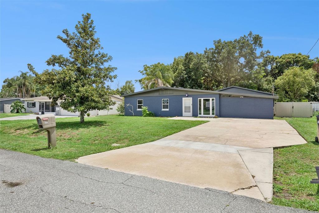 Photo of 204 W Buchanon Avenue, Orlando, FL 32809 (MLS # O6421542)