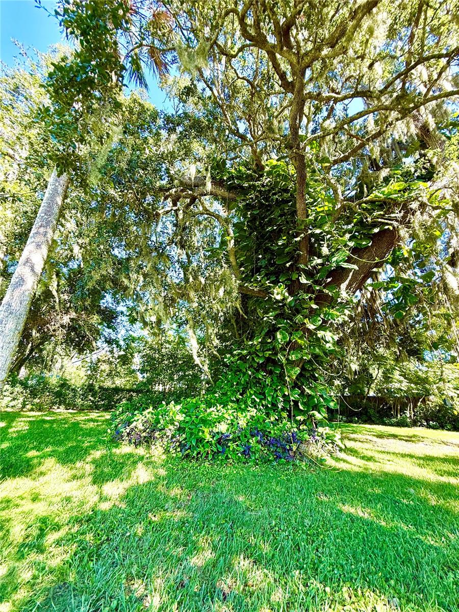 HOME ACRES UNIT 1 - Residential