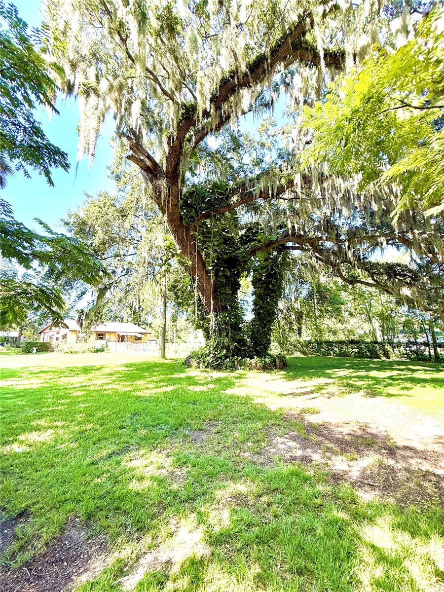 HOME ACRES UNIT 1 - Residential