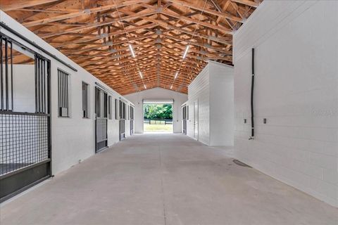 Tiny photo for 1631 W Hwy 329, Citra, FL 32113 (MLS # OM702718)