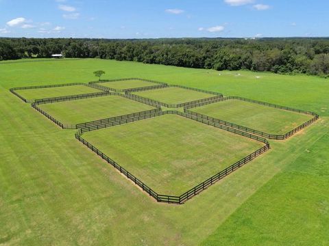 Tiny photo for 1631 W Hwy 329, Citra, FL 32113 (MLS # OM702718)