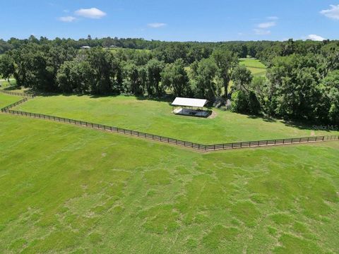 Tiny photo for 1631 W Hwy 329, Citra, FL 32113 (MLS # OM702718)