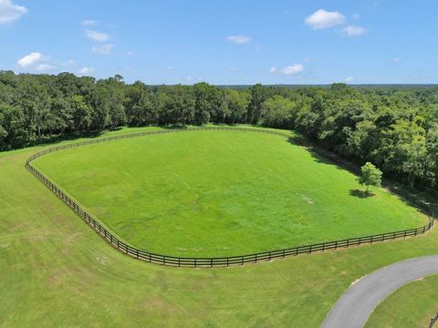 Tiny photo for 1631 W Hwy 329, Citra, FL 32113 (MLS # OM702718)