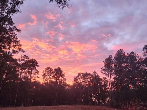 12864 SW 41ST PLACE OCALA FL 34481