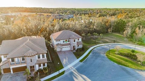 A home in RIVERVIEW