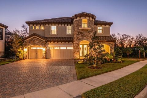 13019 PADDOCK WOOD PLACE RIVERVIEW FL 33579