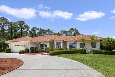 A home in PALM COAST